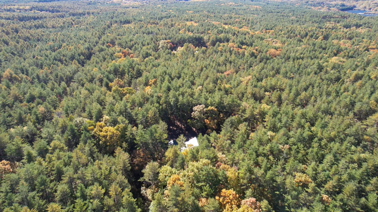 上空からの光景