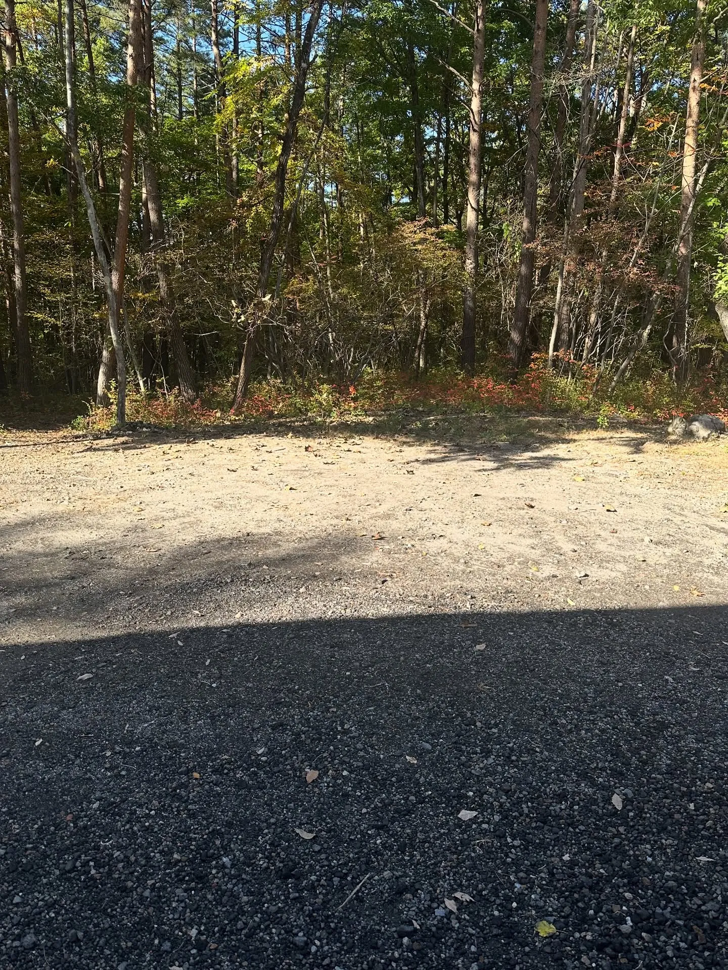 玄関を開けると、そこにはまるで絵画のような自然の美しさが広が...