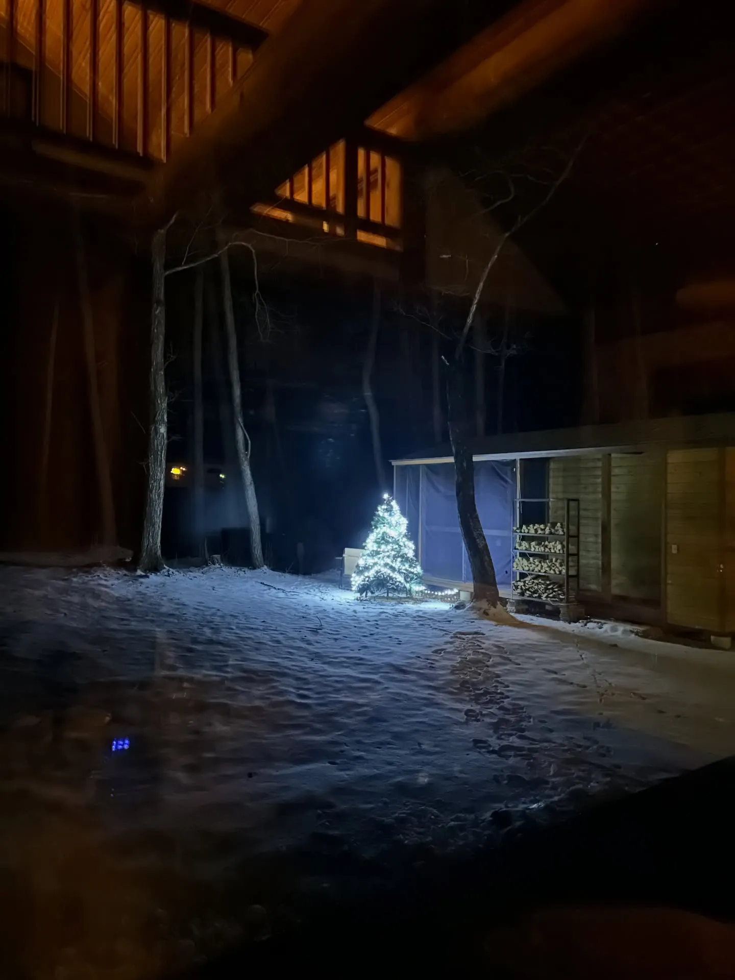 冬の訪れと共に、サウナ小屋の横にクリスマスツリーを設置しまし...