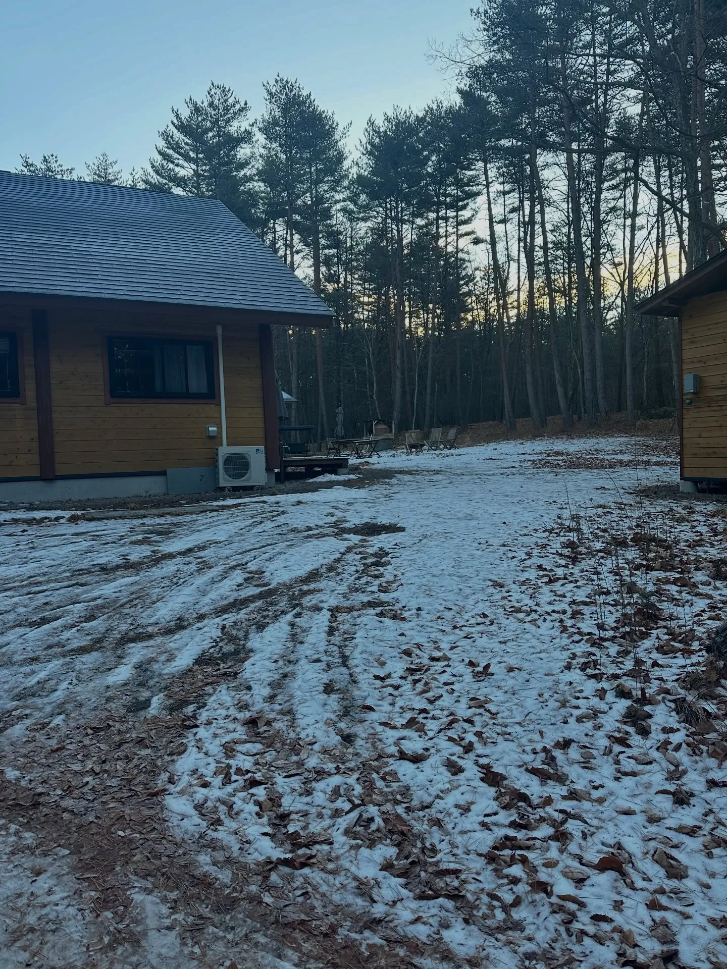朝のププ森は澄み切った空気と次第に鮮やかになる景色が魅力です...