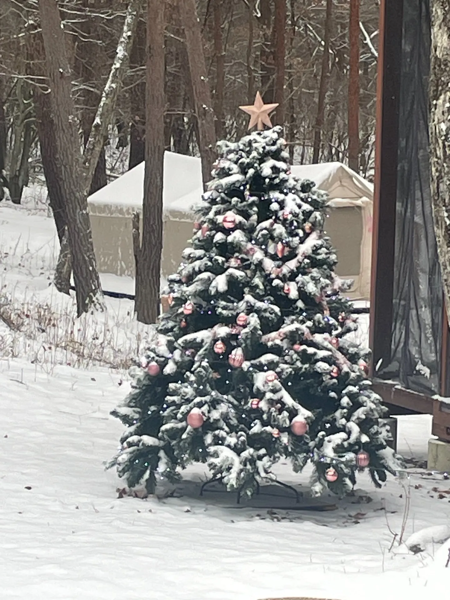今年の冬、皆様に特別な思い出をお届けいたします。