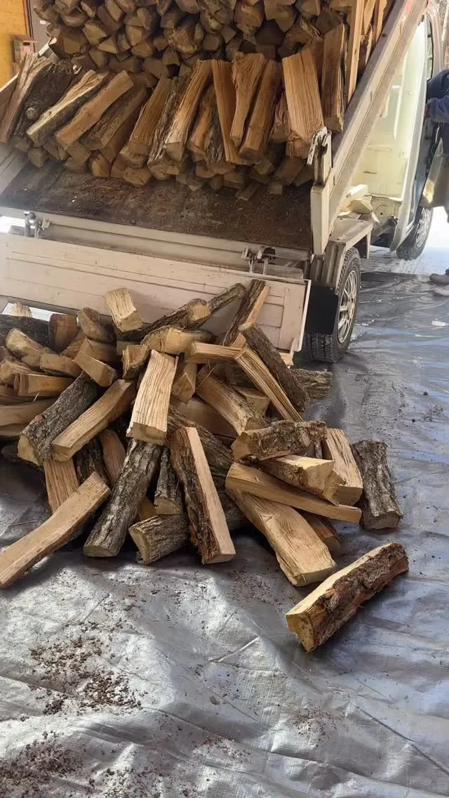 冬がやってきました。